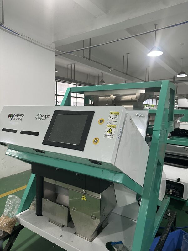 WENYAO Alta precisão 2 canais Nuts Color Sorter Remover Moldy Shell Podre Impuridade para todos os tipos de processamento de nozes