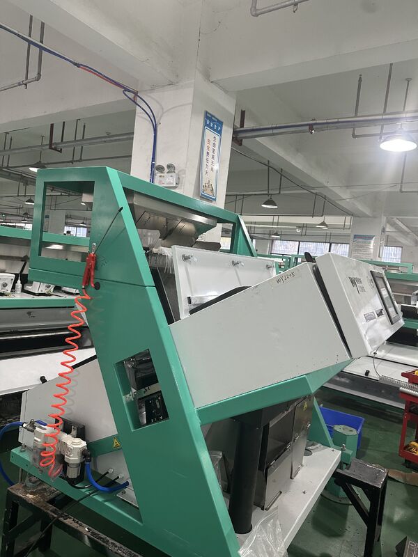 WENYAO Alta precisão 2 canais Nuts Color Sorter Remover Moldy Shell Podre Impuridade para todos os tipos de processamento de nozes