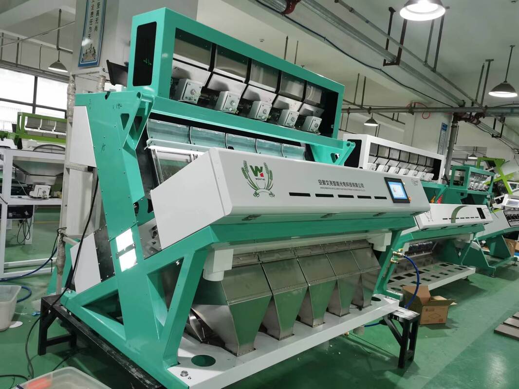 Wenyao AI Máquina de triagem óptica Máquina de triagem de cores para grãos de café Caturra Grão de café verde Cerejas Máquina de triagem de forma