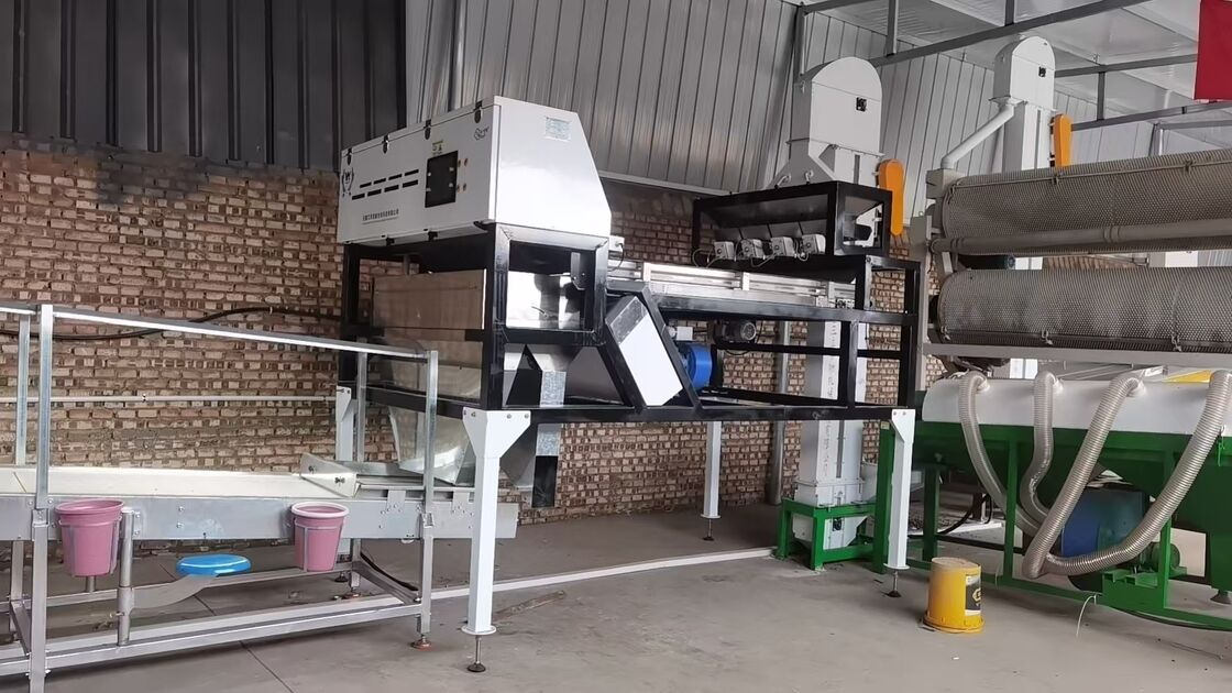 Sortador automático de cores de grãos de quartzo com 99,99% de precisão de triagem e detecção de câmera de dois lados