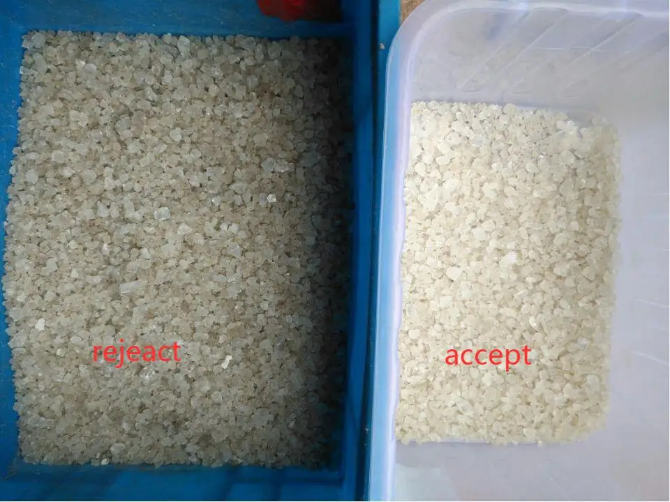 WENYAO Máquina de triagem de cores inteligente de aço inoxidável de alta capacidade