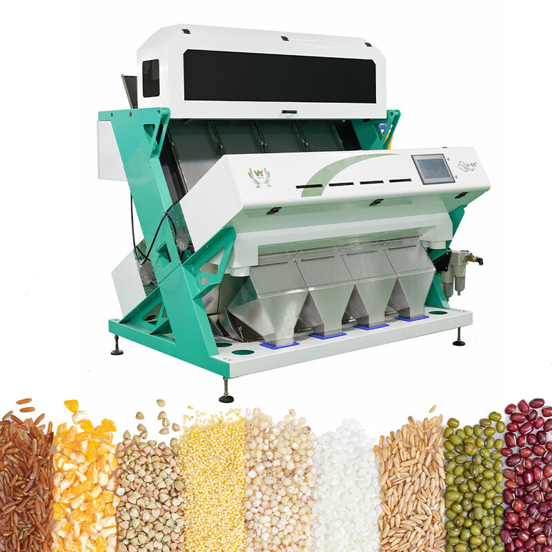 Classificador inteligente de cores de trigo sarraceno, aveia, quinoa, máquina separadora, 3 rampas, 6 câmeras