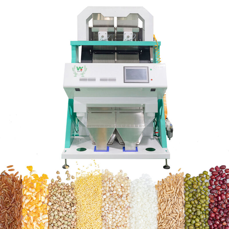 Máquina de classificação automática de grãos de café, separador multifuncional para soja, lentilhas, grão de bico