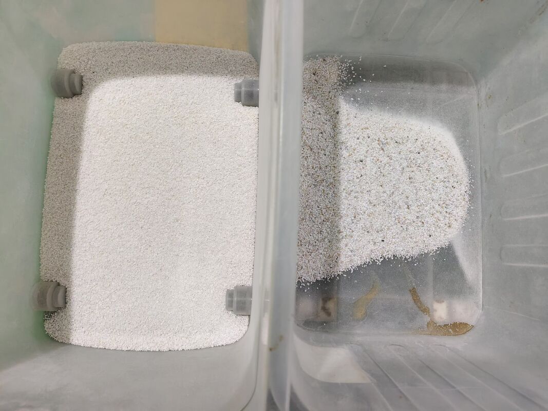 Máquina de classificação de cores minerais de quartzo de sal anti-corrosivo SS316 de alta capacidade de 10 canais com precisão de classificação de 99,99%