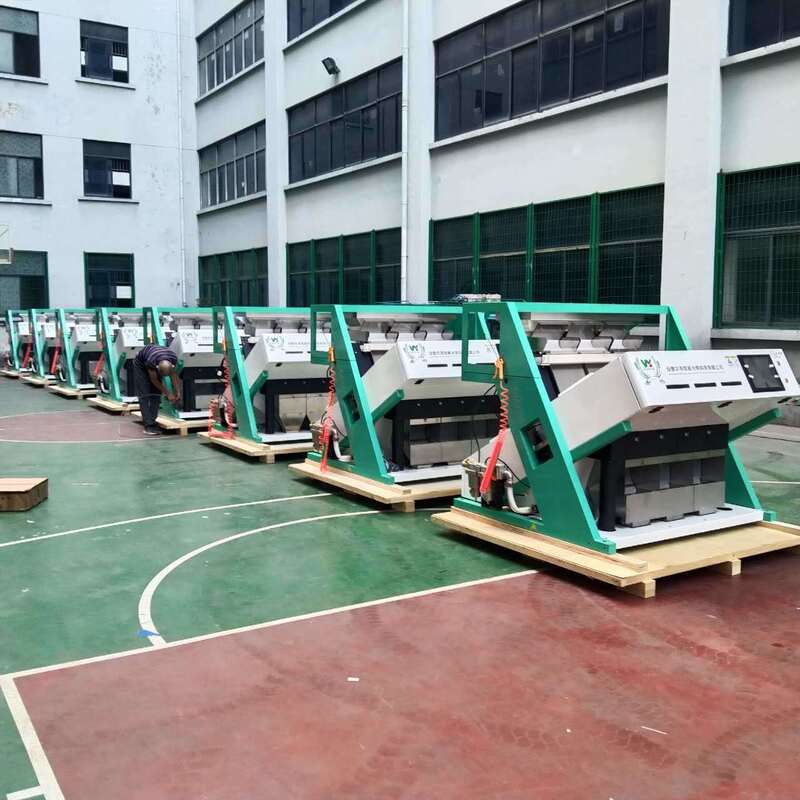 Wenyao soja milho açúcar café feijão máquina de classificação de cores novo design máquina de classificação de cores automática completa