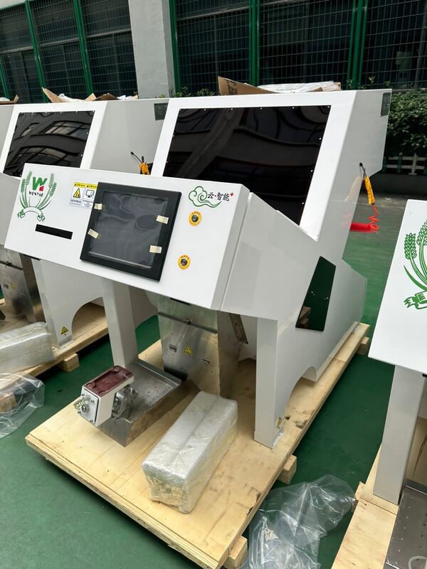 Máquina de triagem de amendoim de noz-moscada para remoção de partículas de aflatoxinas com tecnologia de luz UV
