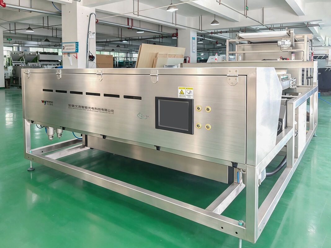 Dried Kiwi Sorting Machine Dried Banana Color Sorter Dried Frozen  Strawberry Sorting  Machine