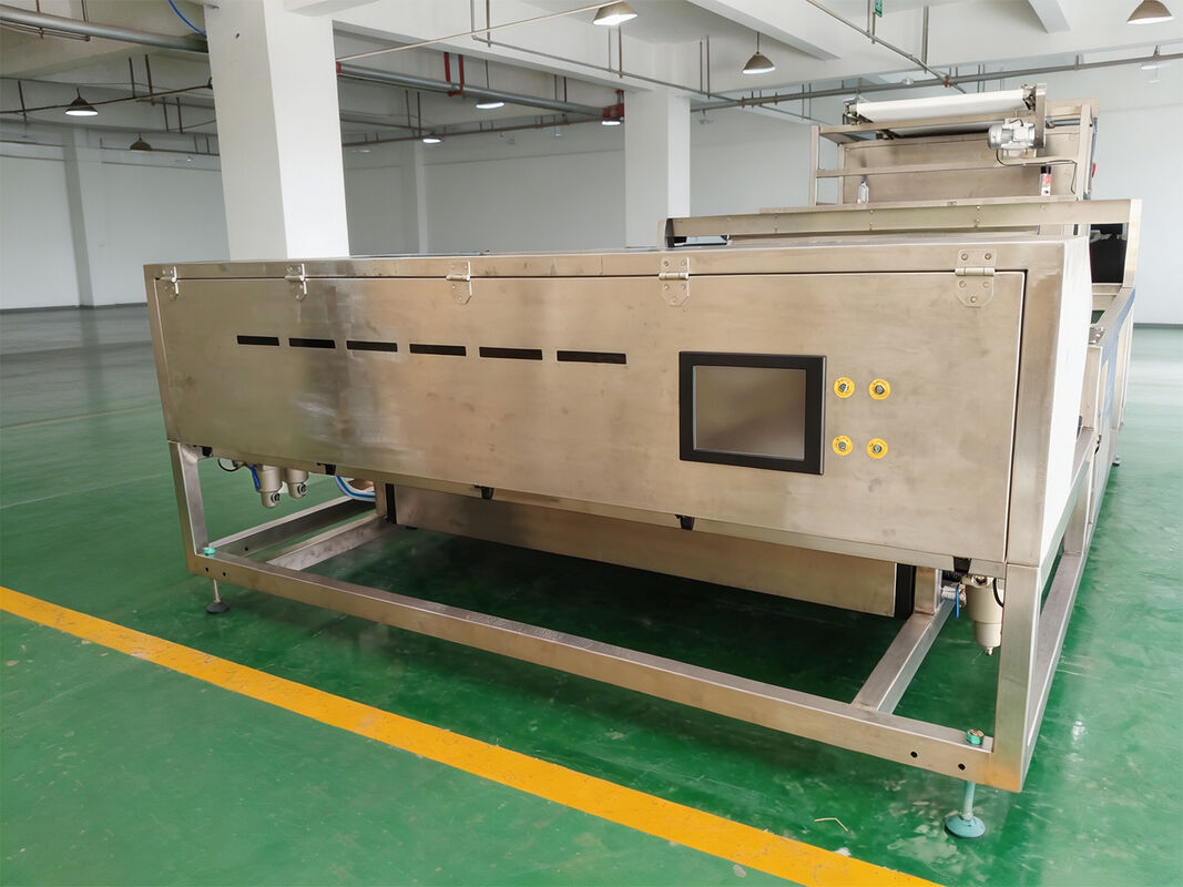 Dried Kiwi Sorting Machine Dried Banana Color Sorter Dried Frozen  Strawberry Sorting  Machine