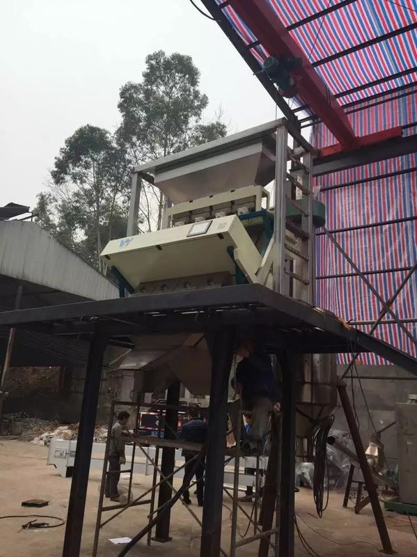 Os pinhões colorem o classificador da cor das porcas da máquina de processamento do pinhão do classificador