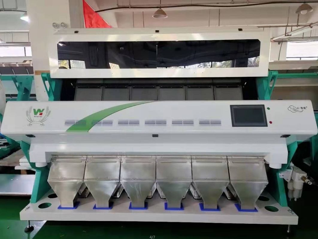 4T/H Sacha Inchi Bean Sorting Machine com precisão de classificação alta