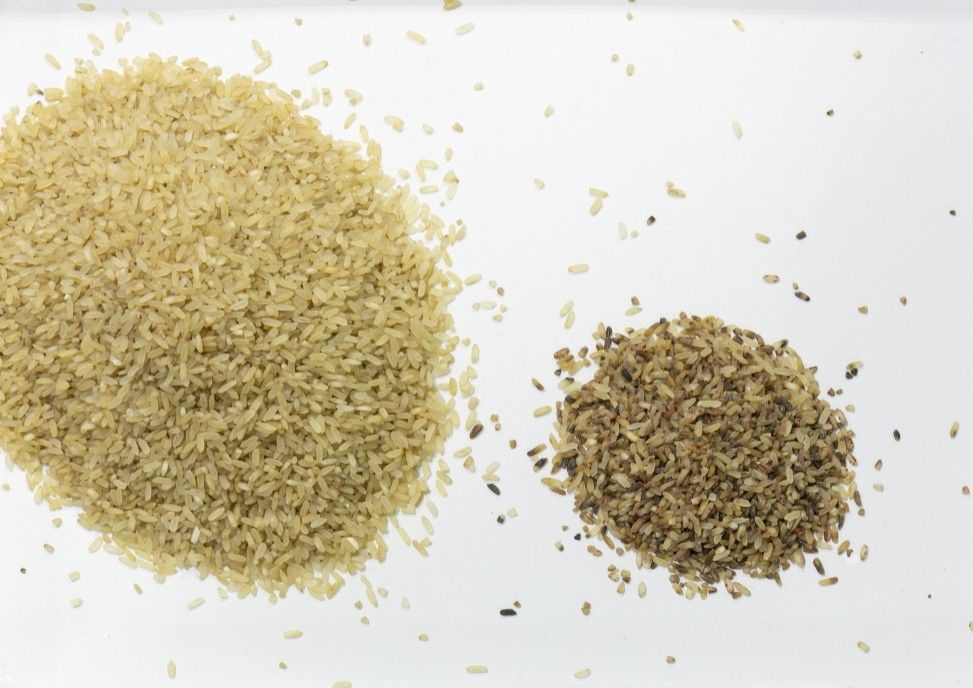 Máquina alta do classificador do arroz do RGB da visão com canais do compressor de ar 192