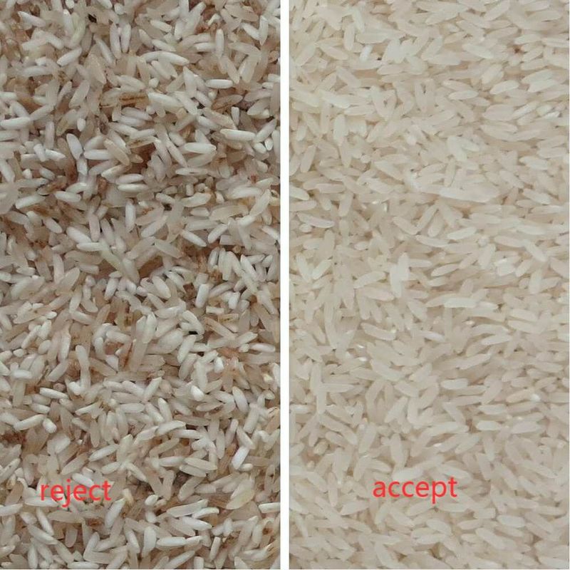 Precisão de classificação da máquina 99 do classificador da cor do arroz de Wenyao 220V 50HZ