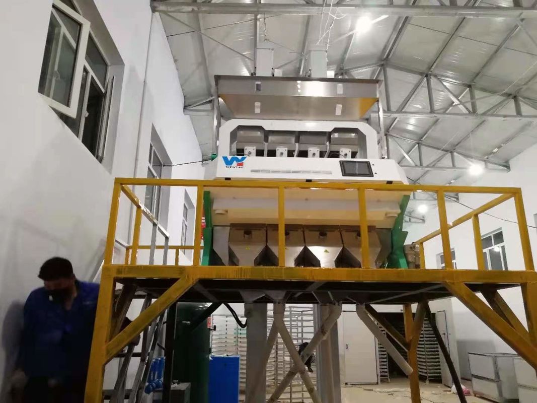 Os amendoins descascados rachados da máquina do classificador da cor do amendoim colorem a máquina de classificação