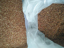 Da máquina vermelha do classificador do arroz da cor do CCD precisão alta no equipamento de Procesising do arroz 99,9%