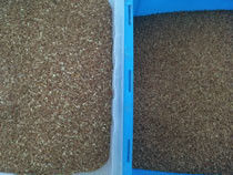 Da máquina vermelha do classificador do arroz da cor do CCD precisão alta no equipamento de Procesising do arroz 99,9%