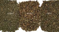 Classificação de cores de grãos de café verde Mini Roasted Raw Coffee Color Sorter