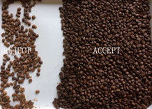 99.9% de precisão Separador de Grãos de Café Grãos crus e torrados Colour Sorter com Hopper de aço inoxidável Luz LED