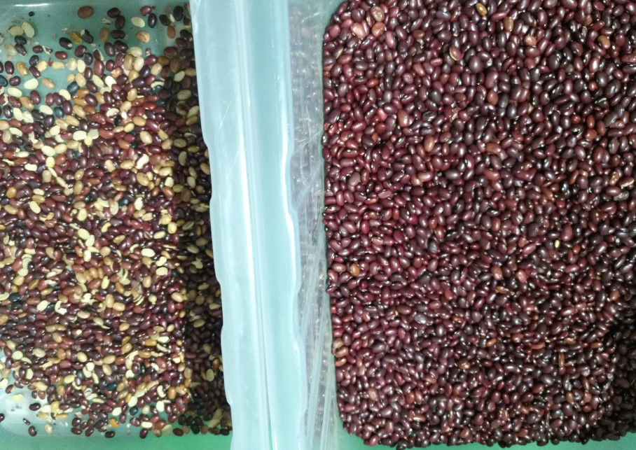 5400 pixel Mini Beans Color Sorter, máquina de classificação do feijão de soja 800kg/H