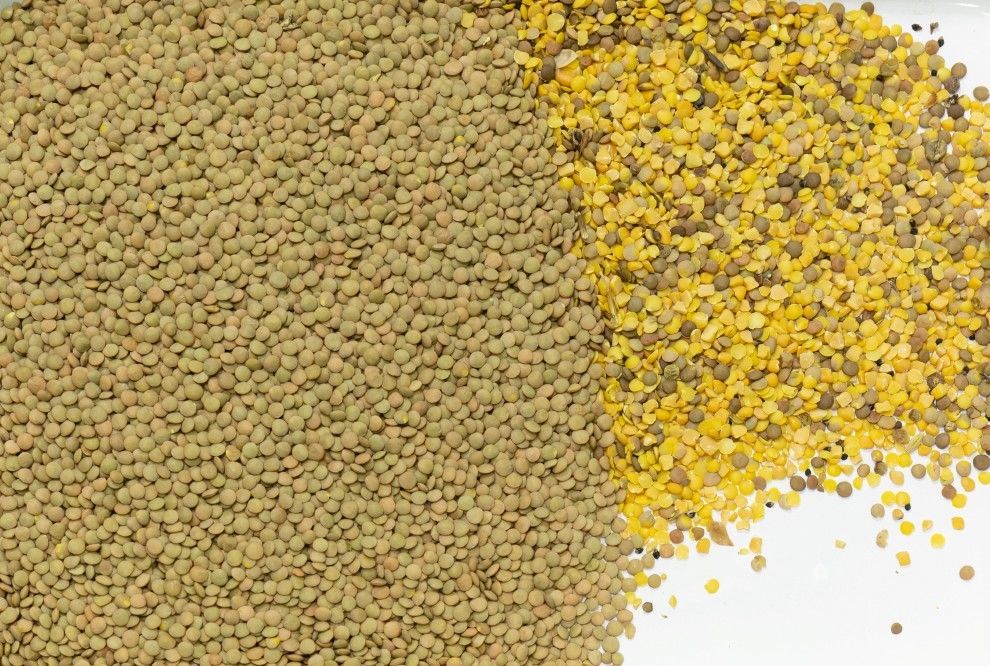 Máquina de triagem de cores multifunção de alta precisão para grãos de café grãos de cacau trigo