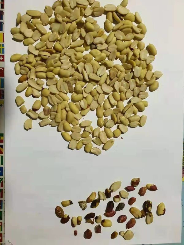 Os amendoins descascados rachados da máquina do classificador da cor do amendoim colorem a máquina de classificação