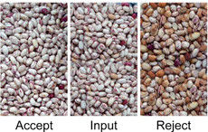 Máquina de seleção de classificação de feijão de soja, feijão verde, sementes pretas de Sohum, equipamento de limpeza