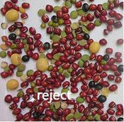 Separador inteligente vermelho da cor do CCD de Bean Color Sorting Machine Automactic do classificador da cor