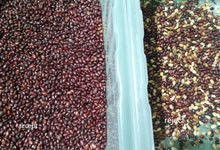 Separador inteligente vermelho da cor do CCD de Bean Color Sorting Machine Automactic do classificador da cor