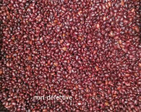 Separador inteligente vermelho da cor do CCD de Bean Color Sorting Machine Automactic do classificador da cor