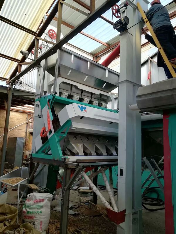 Linha de processamento de gergelim WYCS5-320 Máquina de remoção e limpeza de sementes de gergelim branco