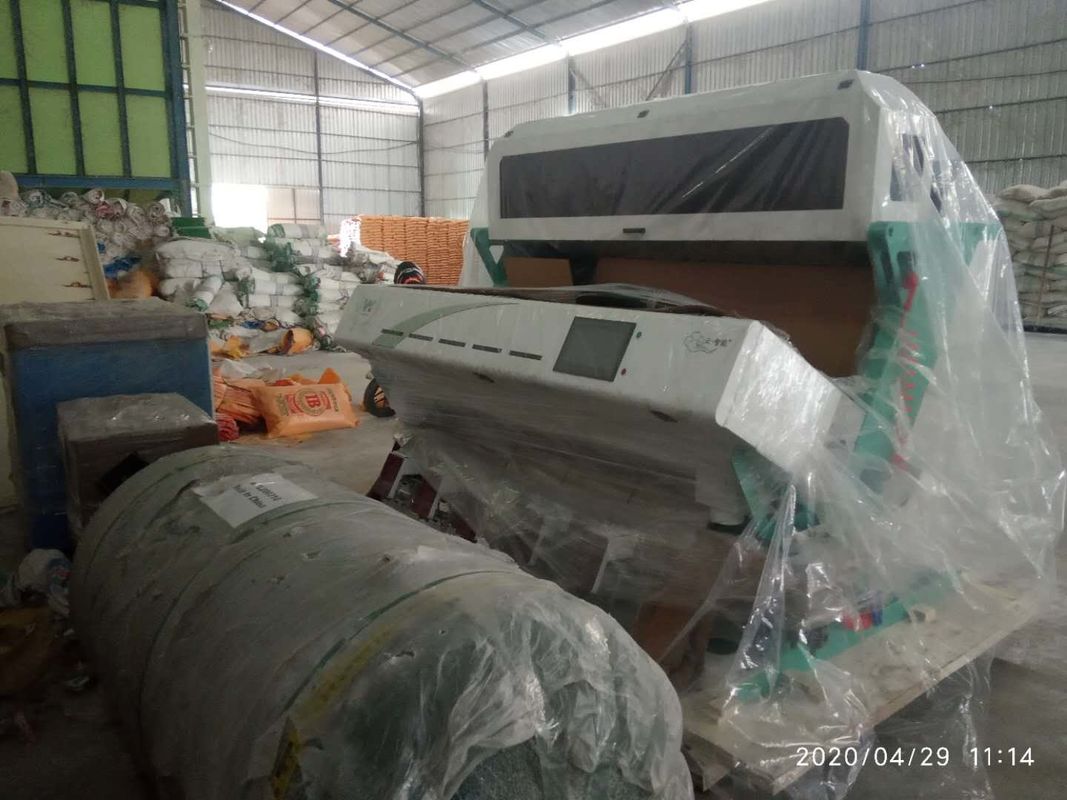 As sementes de sésamo altas do preto da definição colorem a máquina do classificador na linha de processamento do sésamo