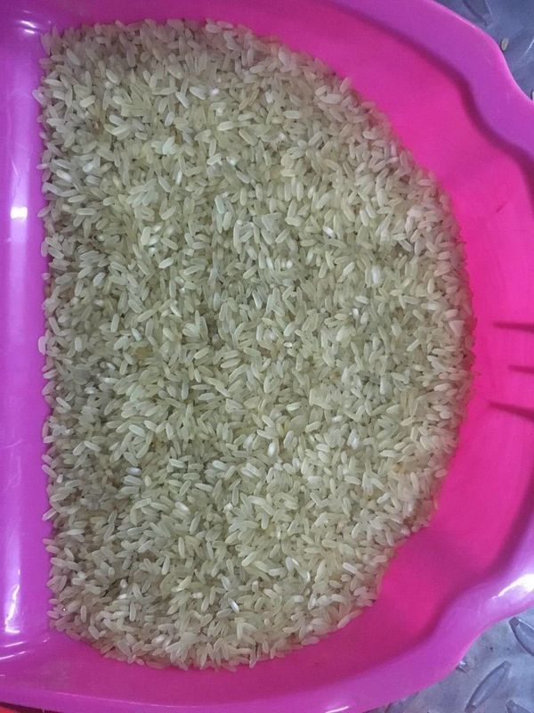 Máquina Multifunction do classificador da cor de WENAYO para o plástico dos feijões das grões do arroz