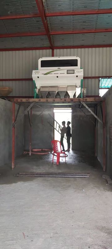 240V 50Hz Roasted a microplaqueta de processamento de alta velocidade de Bean Sorting Machine do café