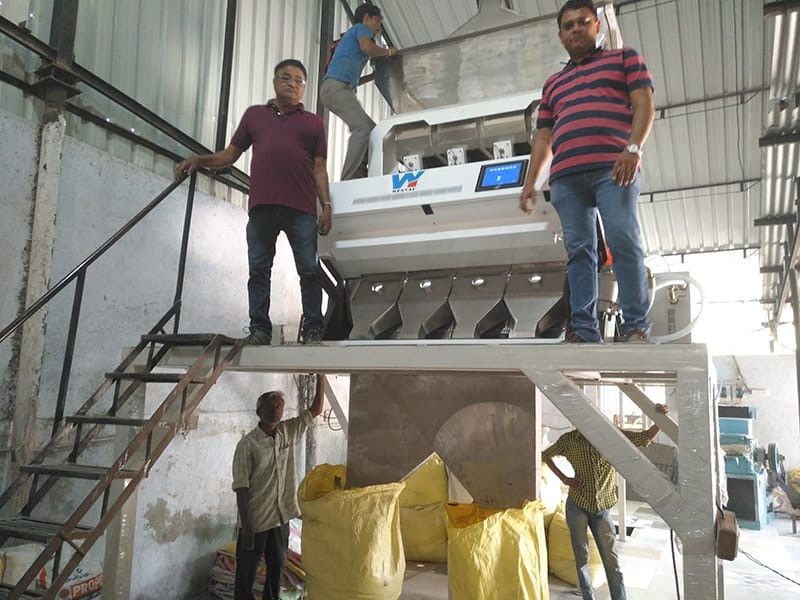 Rampas do feijão 4 da grão do arroz de WENYAO Color Sorter Machine For