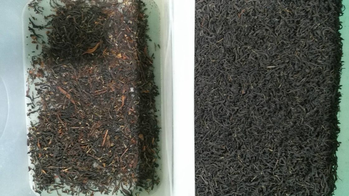Máquina de WENYAO Flower Tea Color Sorter para a seleção amarela das varas