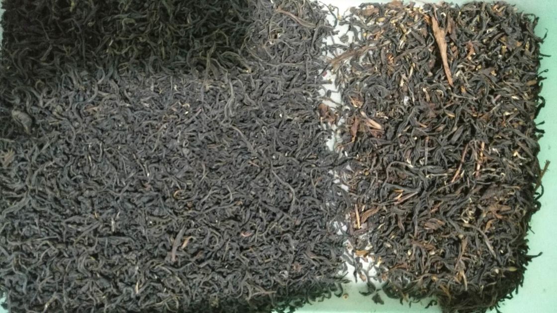Máquina de WENYAO Flower Tea Color Sorter para a seleção amarela das varas