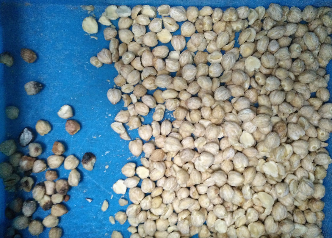 2023 novo design CCD Classificador de cores de nozes Caju Coco Máquina de separação de cores