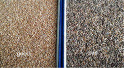 Classificador inteligente de cores de trigo sarraceno, aveia, quinoa, máquina separadora, 3 rampas, 6 câmeras