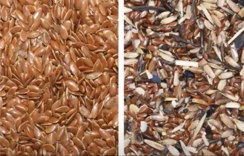 O sésamo da máquina de Flax Seed Sorting do fabricante semeia o equipamento agrícola do classificador da cor