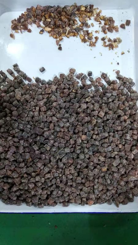 2021 quente vendendo 5 CCD do Candlenut das rampas as porcas colorem o classificador na linha de processamento das porcas