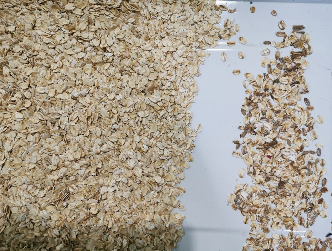 Máquina a rendimento elevado da cor do classificador da aveia com o classificador ótico da cor do Ccd