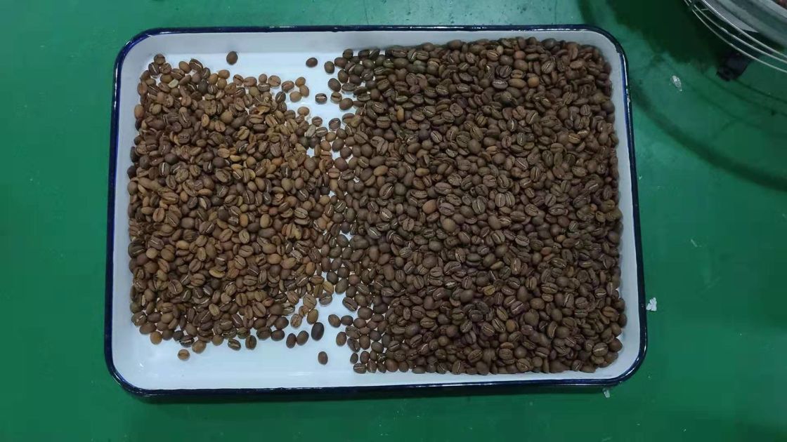 240V 50Hz Roasted a microplaqueta de processamento de alta velocidade de Bean Sorting Machine do café