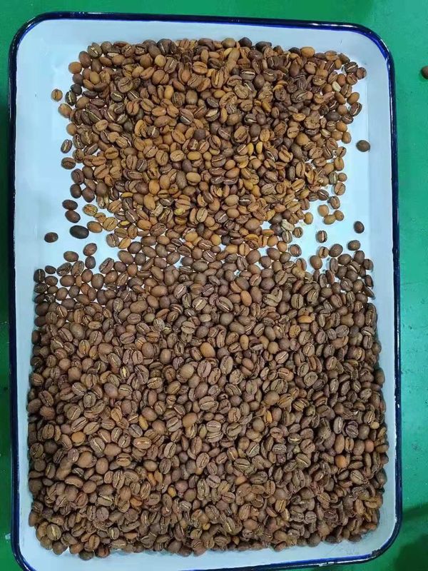 240V 50Hz Roasted a microplaqueta de processamento de alta velocidade de Bean Sorting Machine do café
