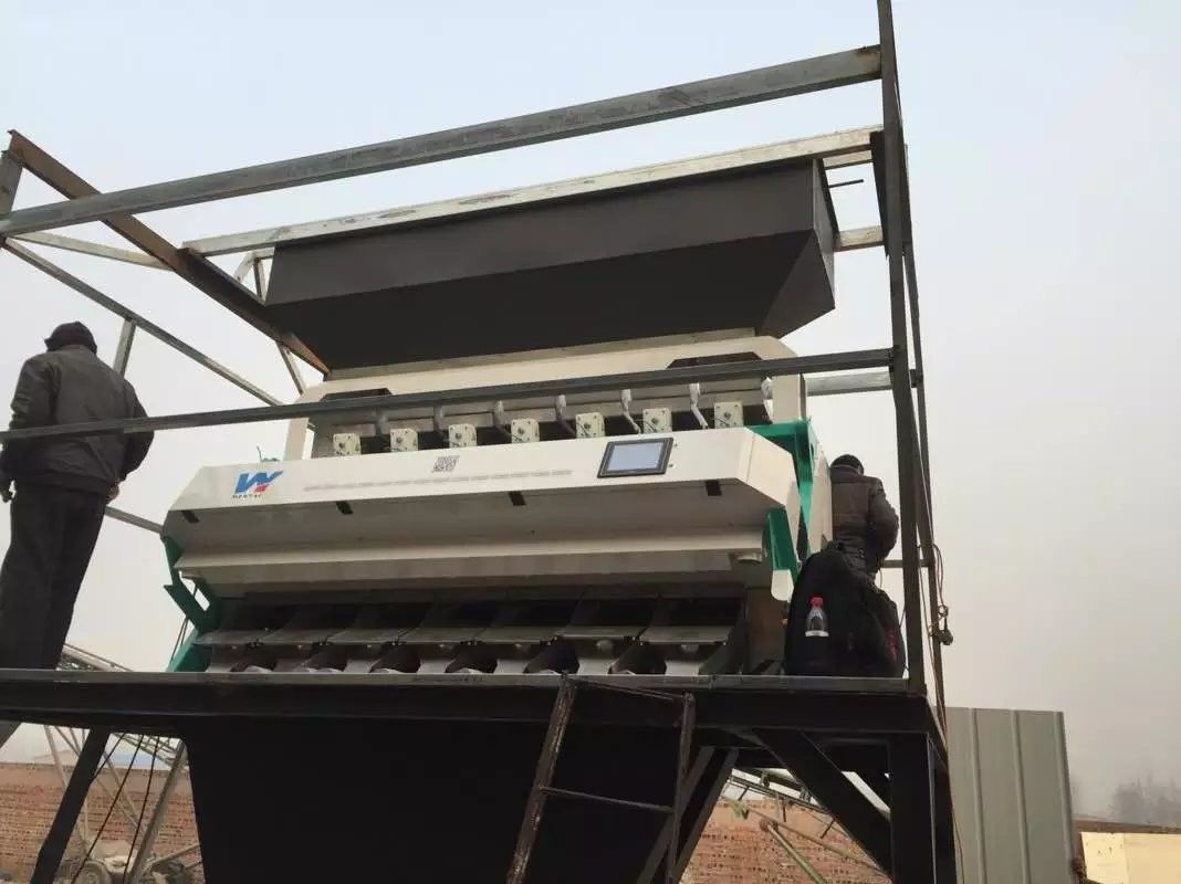 Máquina de classificação automática da cor de 7 canais do classificador 448 da cor do trigo mourisco das rampas