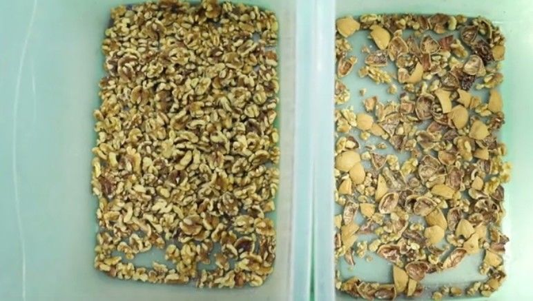 2 rampas 128 canalizam o classificador da cor das porcas, WENYAO Walnut Color Sorter