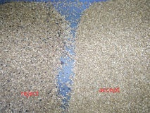 Equipamento de processamento ótico do Quinoa da cor do CCD para a exploração agrícola a classificar o separador do Quinoa