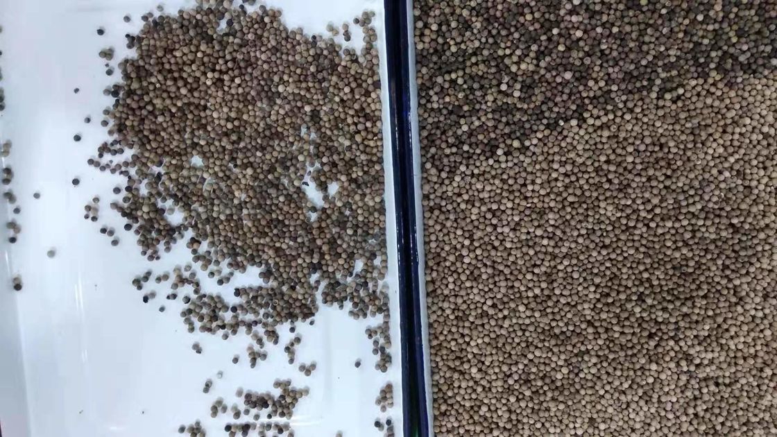 O classificador automático da cor da grão do CCD, 3t/h salpica a máquina de classificação