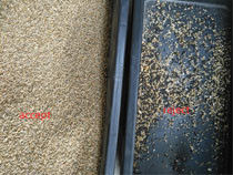 Canais Wenyao Color Sorter de 1 rampa 64 para sementes de Rye