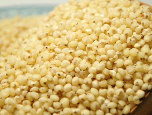 Wenyao Grain Color Sorter, CE ISO9001 da máquina de classificação do sorgo