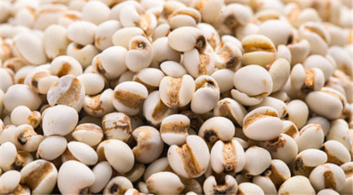 Máquina do classificador da grão de WENYAO High Precision Wheat Corn com capacidade superior