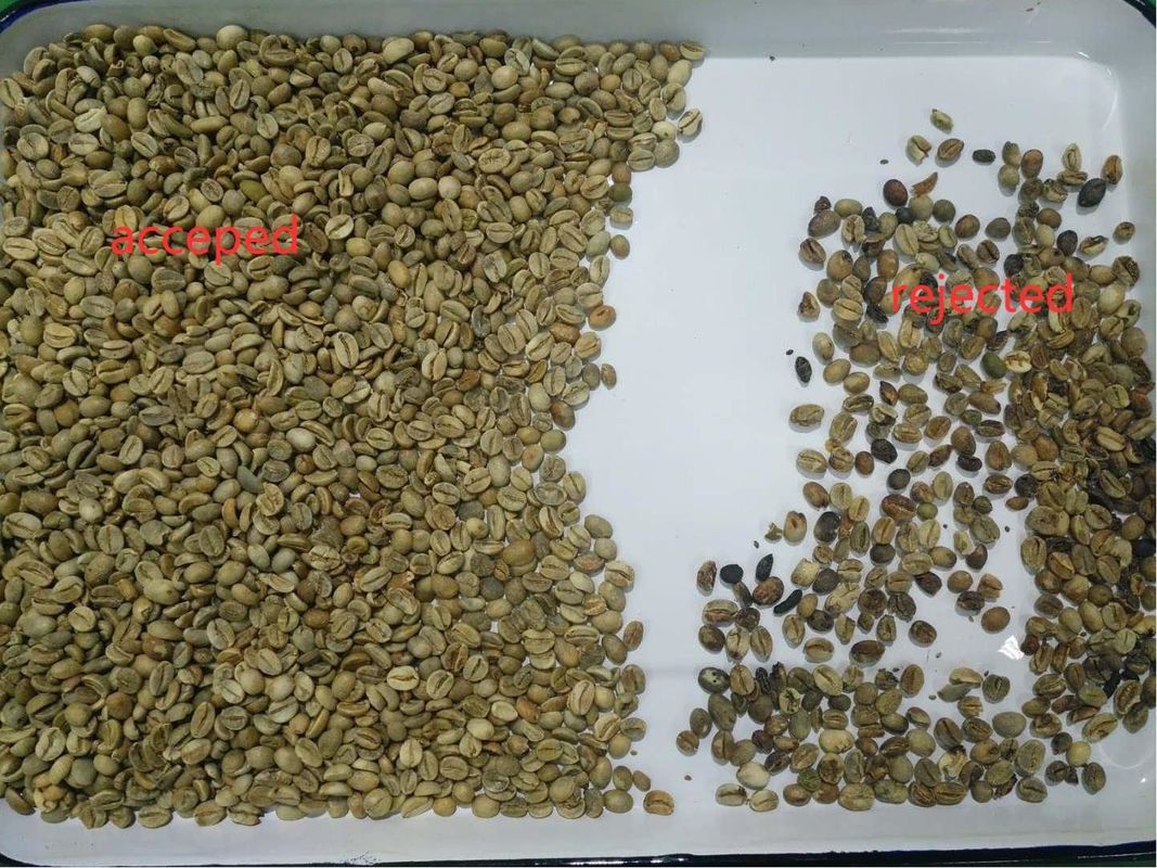 5400 pixéis Mini Coffee Bean Color Sorter   Com precisão alta